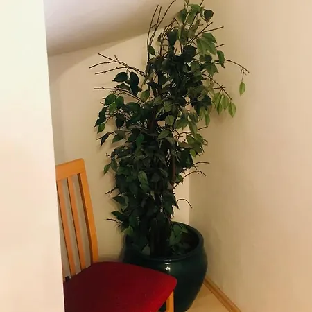Apartman Negovetic Apartment Cres